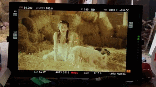 Xem hậu trường Chi Pu quay MV mới biết quay phim với con heo không hề dễ dàng - Ảnh 5.