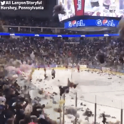 Clip: Cổ động vi&ecirc;n h&ograve; h&eacute;t rồi n&eacute;m 34 ngh&igrave;n con gấu b&ocirc;ng xuống s&acirc;n hockey v&agrave; c&acirc;u chuyện đầy cảm động ph&iacute;a sau - Ảnh 2.