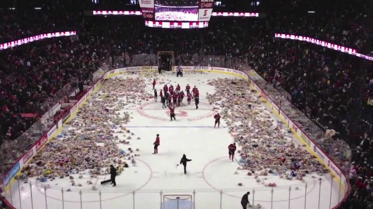 Clip: Cổ động viên hò hét rồi ném 34 nghìn con gấu bông xuống sân hockey và câu chuyện đầy cảm động phía sau - Ảnh 3. Clip: Cổ động viên hò hét rồi ném 34 nghìn con gấu bông xuống sân hockey và câu chuyện đầy cảm động phía sau - Ảnh 3.
