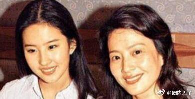 Nhan sắc lão hoá ngược của mẹ Lưu Diệc Phi: U60 mà vẫn đẹp khó tin, khiến netizen tranh nhau nhận làm mẹ vợ - Ảnh 8.