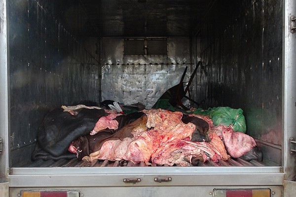 Hơn 1,4 tấn da, mỡ động vật bốc mùi trên xe tải bị tóm ở Bình Phước  - Ảnh 1.