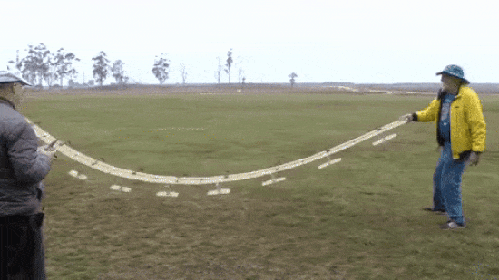 Chiêm ngưỡng drone với ngoại hình siêu dị: Máy móc nhưng lại uốn dẻo khi bay như loài chim - Ảnh 2.