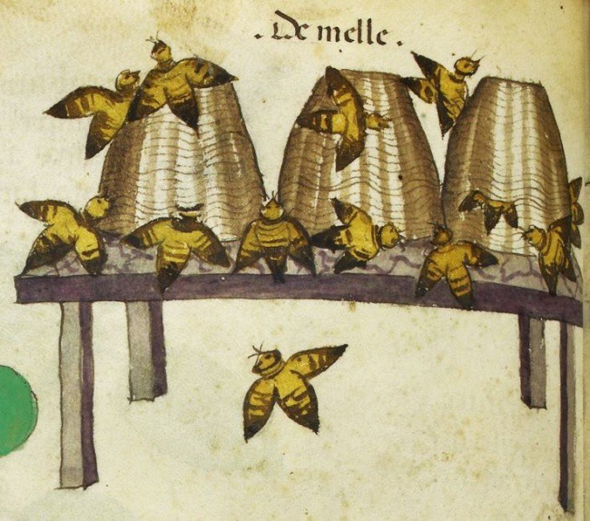 Người Trung Cổ từng tin có người tí hon sống trong tinh trùng của nam giới, ong là 1 loài chim đấy! - Ảnh 3.