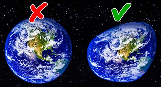 8 sự thật ai cũng tin nhưng hóa ra chỉ là lầm tưởng không hơn không kém - Ảnh 6.