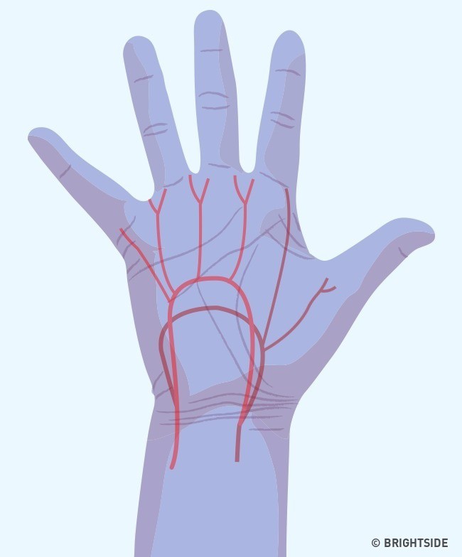 Bàn tay đột nhiên tê buốt ở các điểm này là dấu hiệu bạn không nên xem thường - Ảnh 6.