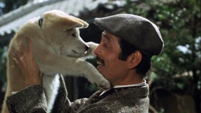 Năm Mậu Tuất và 5 câu chuyện cảm động về loài chó của điện ảnh Nhật Bản - Ảnh 5.