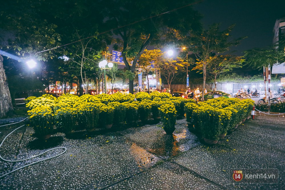 Người bán hoa Tết nghẹn lòng kể chuyện bị ép giá đêm 30: “Mong mọi người hãy bỏ tâm lý mua hoa giờ chót - Ảnh 8. Người bán hoa Tết nghẹn lòng kể chuyện bị ép giá đêm 30: “Mong mọi người hãy bỏ tâm lý mua hoa giờ chót - Ảnh 8.