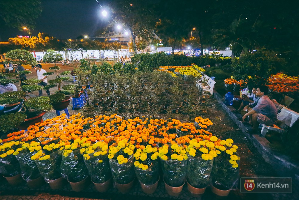 Người bán hoa Tết nghẹn lòng kể chuyện bị ép giá đêm 30: “Mong mọi người hãy bỏ tâm lý mua hoa giờ chót - Ảnh 1. Người bán hoa Tết nghẹn lòng kể chuyện bị ép giá đêm 30: “Mong mọi người hãy bỏ tâm lý mua hoa giờ chót - Ảnh 1.