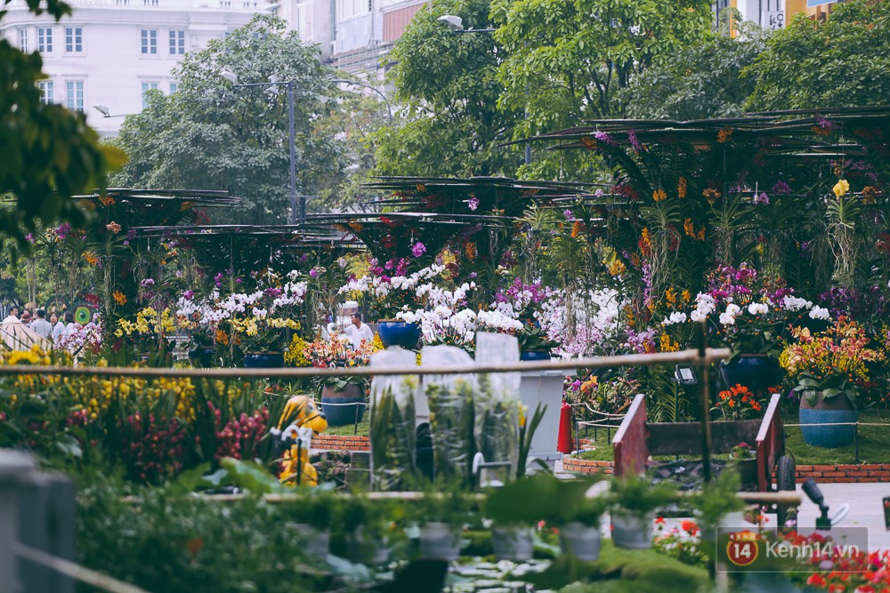 Chùm ảnh: Ngắm đường hoa Nguyễn Huệ đang được gấp rút hoàn thành trước ngày khai mạc - Ảnh 18. Chùm ảnh: Ngắm đường hoa Nguyễn Huệ đang được gấp rút hoàn thành trước ngày khai mạc - Ảnh 18.