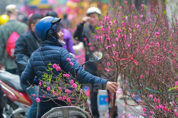 Cận Tết miền Bắc mưa r&eacute;t giảm 7 độ C, v&ugrave;ng n&uacute;i cao dưới 5 độ - Ảnh 1.