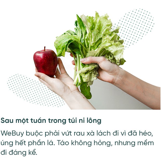 Cất rau quả trong túi ni lông lẫn hộp đựng chuyên dụng suốt 7 ngày và điều bất ngờ đã xảy ra - Ảnh 14.