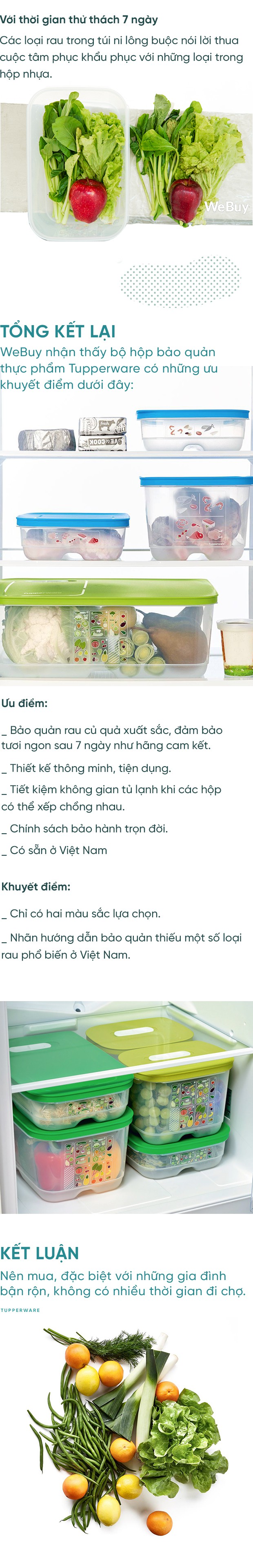 Cất rau quả trong túi ni lông lẫn hộp đựng chuyên dụng suốt 7 ngày và điều bất ngờ đã xảy ra - Ảnh 16.