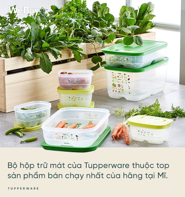 Cất rau quả trong túi ni lông lẫn hộp đựng chuyên dụng suốt 7 ngày và điều bất ngờ đã xảy ra - Ảnh 2.