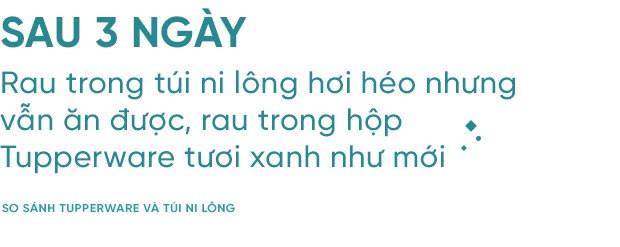 Cất rau quả trong túi ni lông lẫn hộp đựng chuyên dụng suốt 7 ngày và điều bất ngờ đã xảy ra - Ảnh 8.