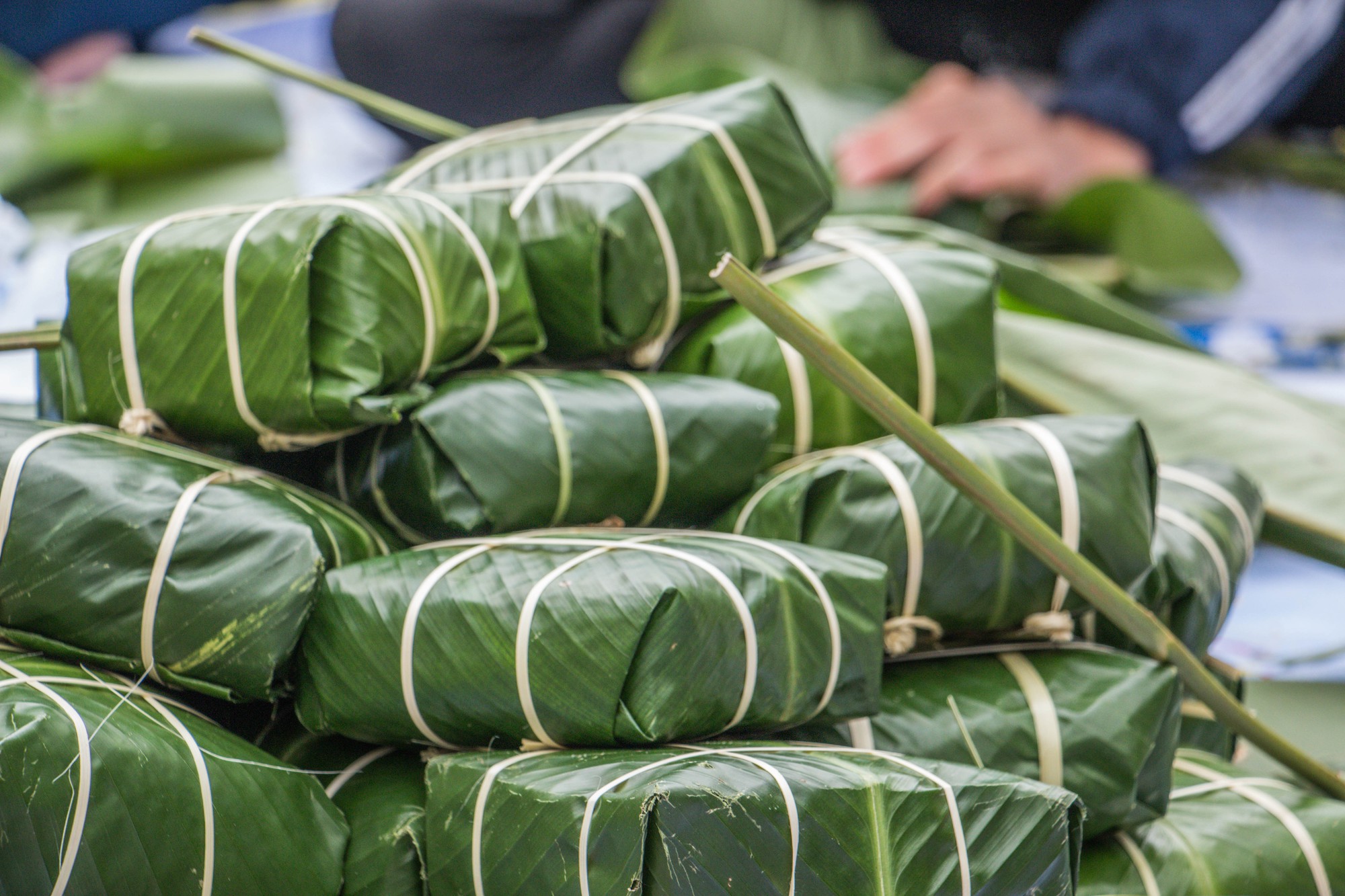 Tết Ấm Áp 2018: Thắp lửa yêu thương, chia vui ngày Tết - Ảnh 7. Tết Ấm Áp 2018: Thắp lửa yêu thương, chia vui ngày Tết - Ảnh 7.