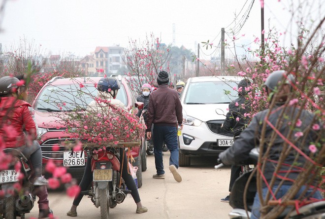 Sát Tết, Nhật Tân tắc nghẽn vì dòng người đổ xô ra tận ruộng mua đào chơi Tết - Ảnh 2.