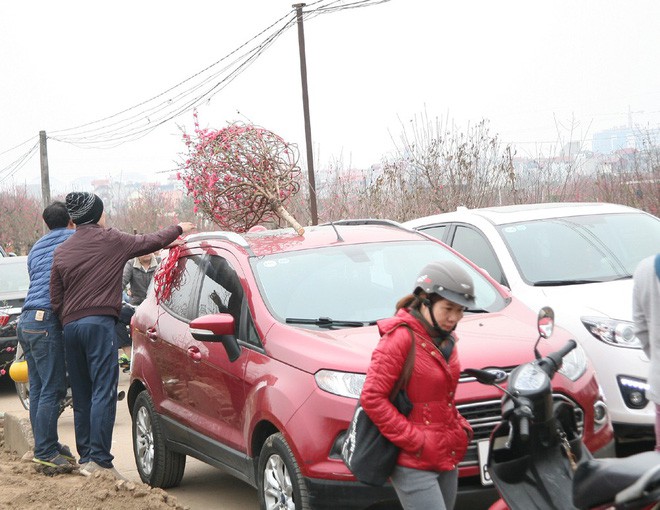 Sát Tết, Nhật Tân tắc nghẽn vì dòng người đổ xô ra tận ruộng mua đào chơi Tết - Ảnh 5.