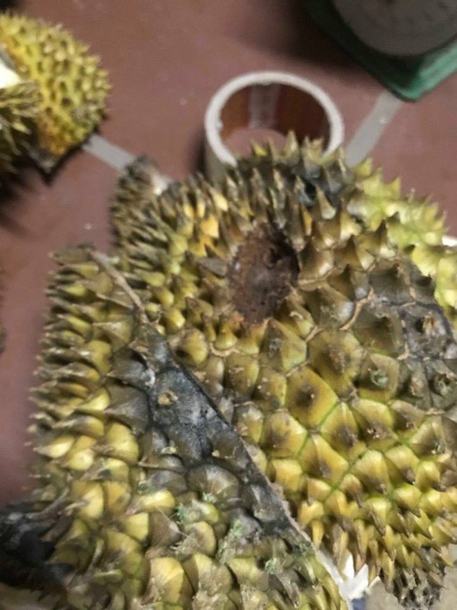 Chạy ngược xuôi buôn hoa quả kiếm tiền sắm Tết, cô gái ở Hà Nội bị cú lừa ngoạn mục - Ảnh 6.