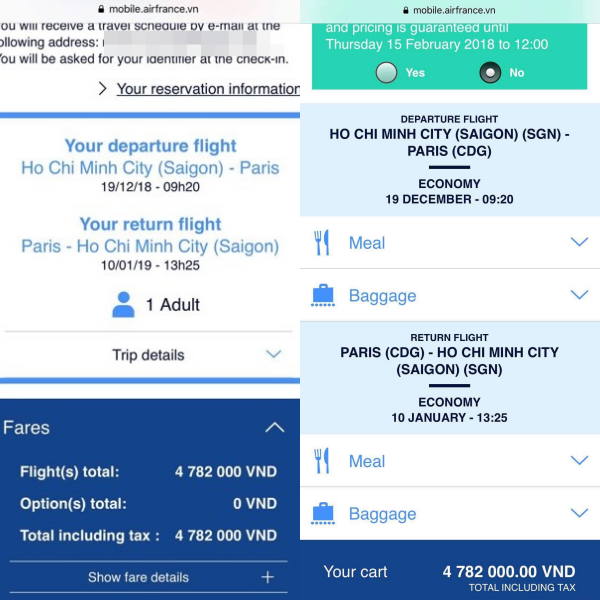 Sáng 29 Tết, nhiều người Việt bất ngờ mua được vé máy bay khứ hồi đi thẳng Pháp với giá chỉ khoảng 4,7 triệu đồng - Ảnh 4.