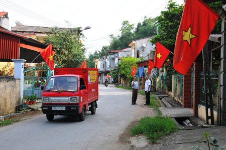 Treo cờ đ&oacute;n Tết, 2 vợ chồng bị điện giật nhập viện - Ảnh 1.