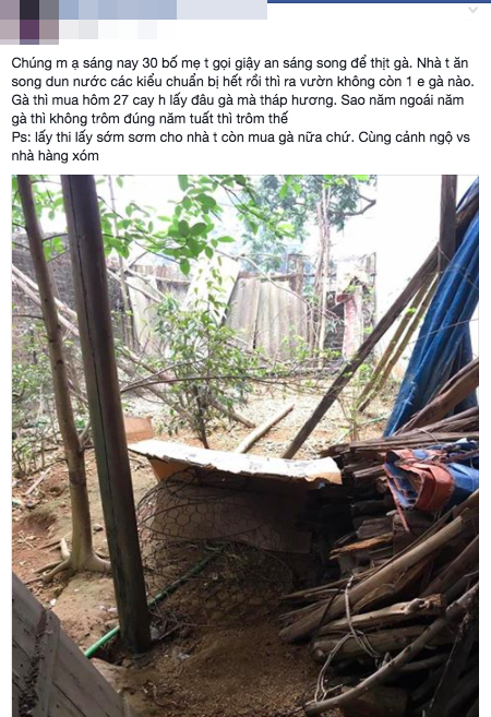 Dậy sớm để thịt gà làm cơm tất niên, thanh niên bàng hoàng phát hiện cả đàn gà bị bắt trộm trong đêm - Ảnh 1.