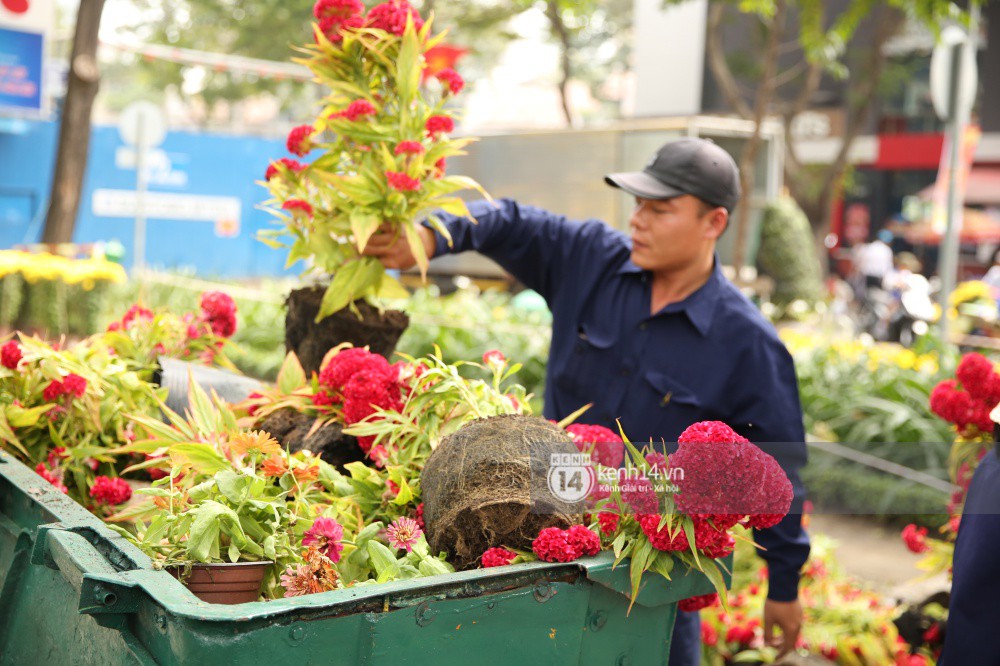 Clip: Không bán hết hàng trưa 30 Tết, nhiều tiểu thương tự tay đập nát chậu hoa, vứt vào thùng rác - Ảnh 12. Các tiểu thương cũng chịu lỗ và chấp nhận để công nhân công ty cây xanh dọn dẹp cho vào xe rác chứ không cho người chơi mang về dùng.