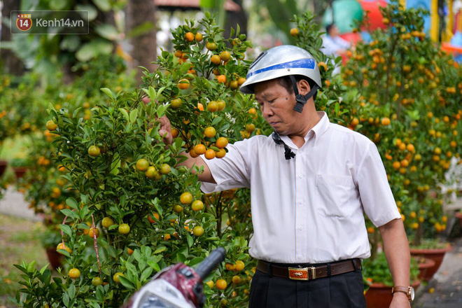 Bị đòi lại mặt bằng, tiểu thương trong công viên Hoàng Văn Thụ giảm giá hoa từ 1 triệu xuống 200 nghìn, tiếp tục ra vỉa hè bán đến giao thừa - Ảnh 1.