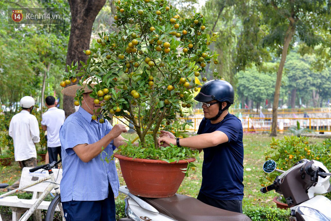 Bị đòi lại mặt bằng, tiểu thương trong công viên Hoàng Văn Thụ giảm giá hoa từ 1 triệu xuống 200 nghìn, tiếp tục ra vỉa hè bán đến giao thừa - Ảnh 3.