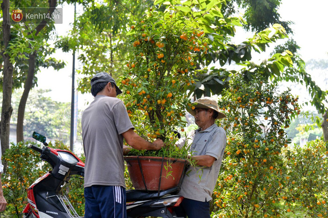 Bị đòi lại mặt bằng, tiểu thương trong công viên Hoàng Văn Thụ giảm giá hoa từ 1 triệu xuống 200 nghìn, tiếp tục ra vỉa hè bán đến giao thừa - Ảnh 8.