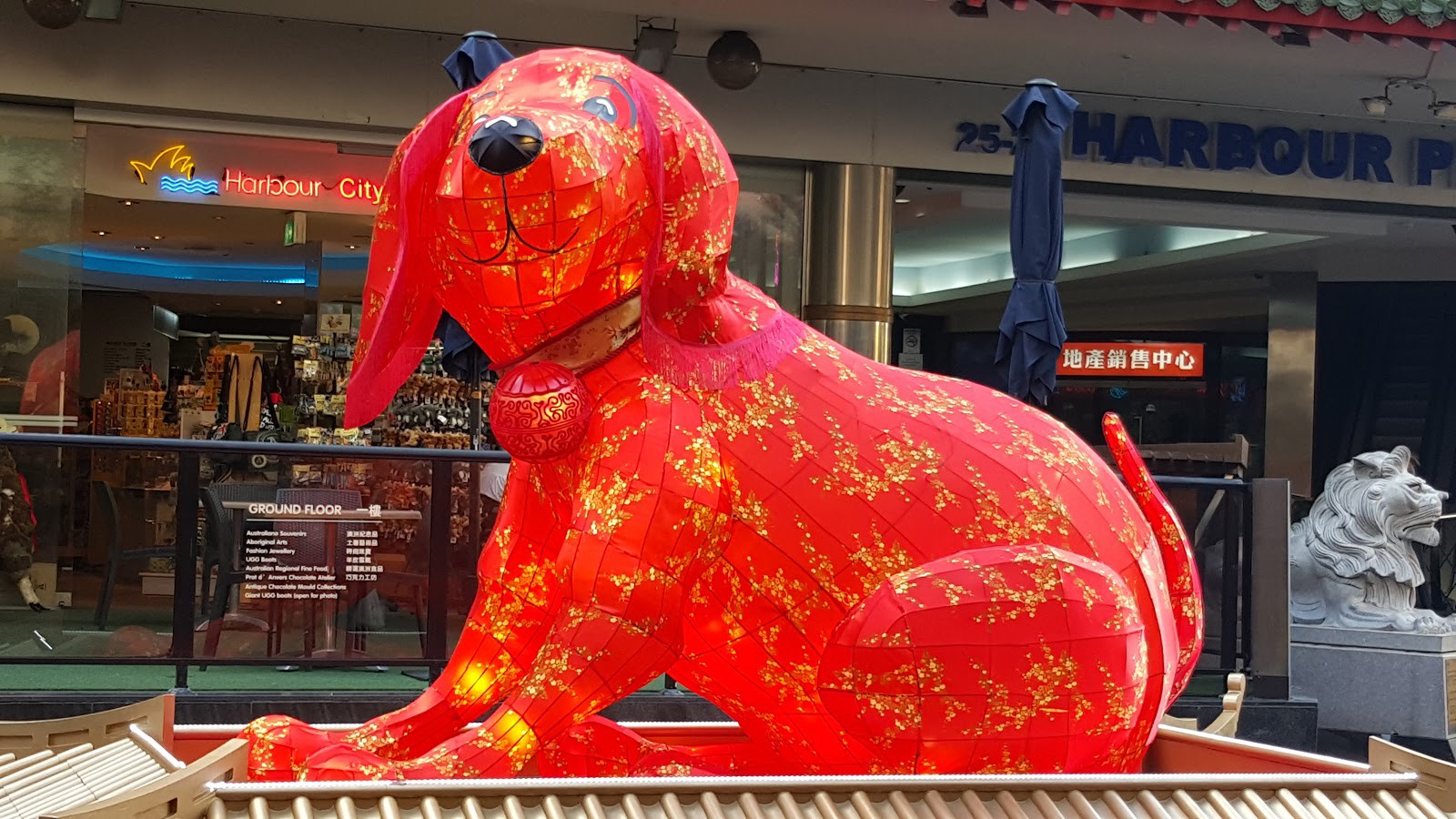 Kết quả hình ảnh cho sydney Year of the dog