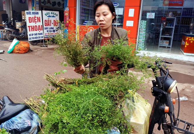 10.000 đồng/mớ mùi già đắt như tôm tươi tại chợ sáng 30 Tết - Ảnh 11.