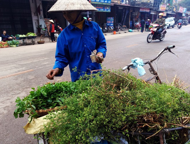  10.000 đồng/mớ mùi già đắt như tôm tươi tại chợ sáng 30 Tết - Ảnh 9.