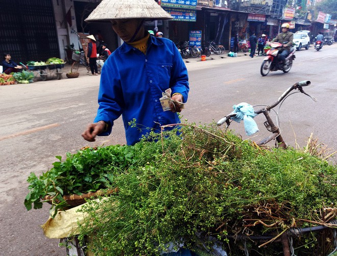  10.000 đồng/mớ mùi già đắt như tôm tươi tại chợ sáng 30 Tết  - Ảnh 9.