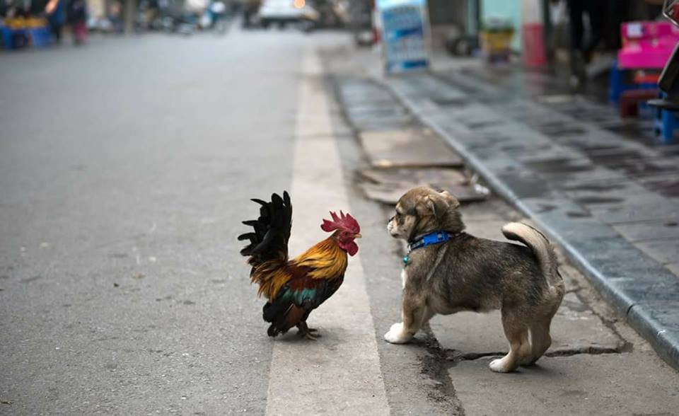 Những khoảnh khắc và câu chuyện đáng yêu được chia sẻ nhiều nhất trong dịp đầu năm mới 2018 - Ảnh 2. Những khoảnh khắc và câu chuyện đáng yêu được chia sẻ nhiều nhất trong dịp đầu năm mới 2018 - Ảnh 2.