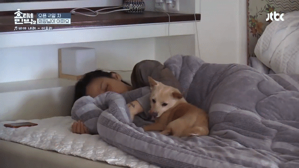 Đ&acirc;y l&agrave; c&aacute;ch chồng Hyori tận t&igrave;nh chăm s&oacute;c khi vợ bị bệnh! - Ảnh 1.