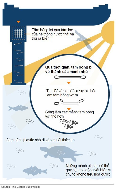 Cùng tìm hiểu về giải pháp giúp thế giới giải quyết nạn ô nhiễm chất thải plastic - Ảnh 3.