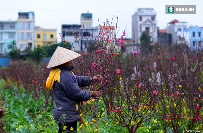 Hồ Gươm từng đóng băng, miền Bắc đã bao giờ rét liên tiếp dưới 10 độ C chưa? - Ảnh 4.