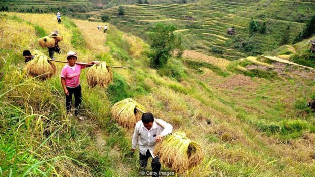 Từ câu chuyện địa lý đến tính cách con người: Phương Tây và phương Đông suy nghĩ khác nhau như thế nào? - Ảnh 5.