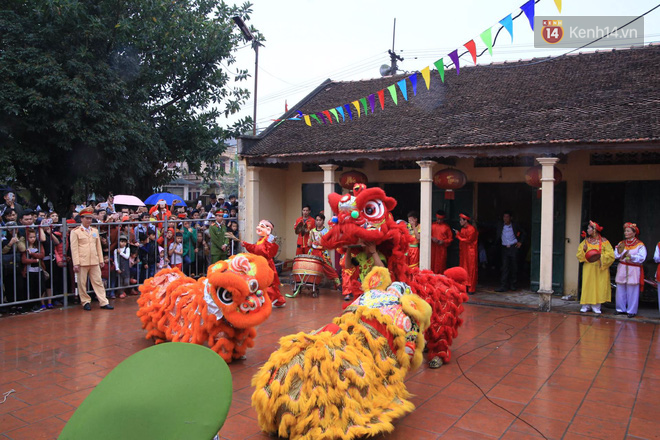 Lễ chém lợn ở Ném Thượng: Sau khi đưa rước quanh làng, hai ông ỉ được đem vào nơi kín đáo để “trảm” - Ảnh 30.