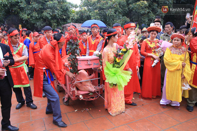 Lễ chém lợn ở Ném Thượng: Sau khi đưa rước quanh làng, hai ông ỉ được đem vào nơi kín đáo để “trảm” - Ảnh 24.