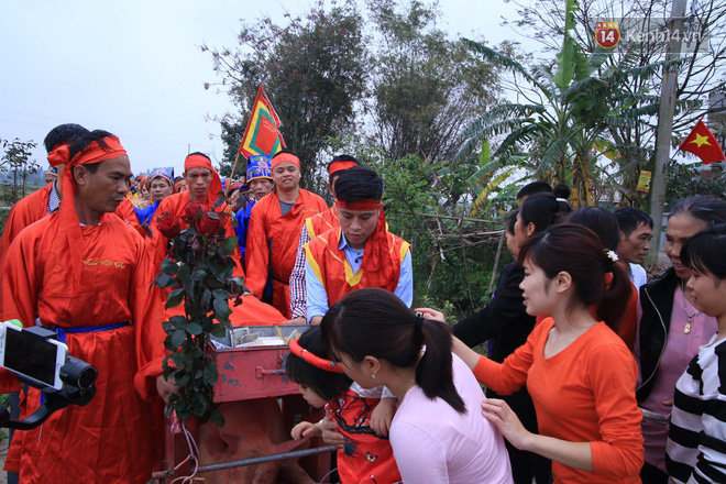 Lễ chém lợn ở Ném Thượng: Sau khi đưa rước quanh làng, hai ông ỉ được đem vào nơi kín đáo để “trảm” - Ảnh 10.