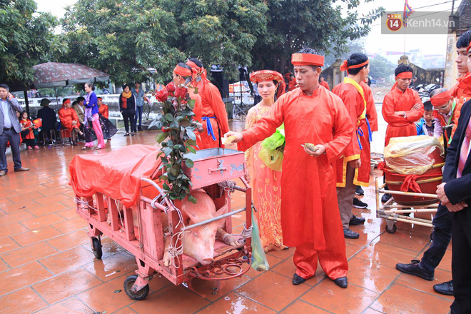 Lễ chém lợn ở Ném Thượng: Sau khi đưa rước quanh làng, hai ông ỉ được đem vào nơi kín đáo để “trảm” - Ảnh 1.