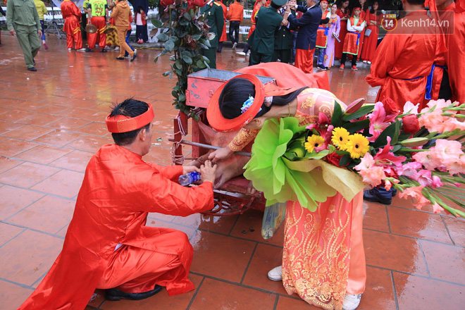 Lễ chém lợn ở Ném Thượng: Sau khi đưa rước quanh làng, hai ông ỉ được đem vào nơi kín đáo để “trảm” - Ảnh 3.