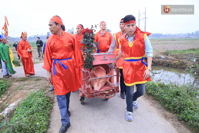 Lễ chém lợn ở Ném Thượng: Sau khi đưa rước quanh làng, hai ông ỉ được đem vào nơi kín đáo để “trảm” - Ảnh 14.