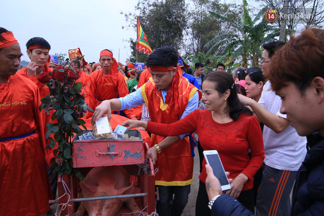 Lễ chém lợn ở Ném Thượng: Sau khi đưa rước quanh làng, hai ông ỉ được đem vào nơi kín đáo để “trảm” - Ảnh 16.