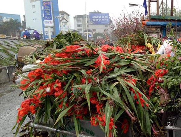 Hà Nội: Hoa tươi rớt giá, chỉ bằng 1/10 so với trước Tết, dân buôn vứt đổ đống tại chợ Quảng An - Ảnh 1.