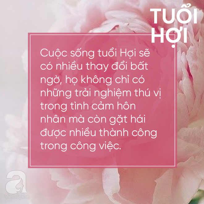 Khai niên hoan hỉ, 3 con giáp này sẽ đại cát đại lợi trong năm Tuất, người người nhà nhà ấm no hạnh phúc - Ảnh 1.