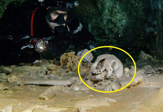 Lặn xuống hang động lớn nhất thế giới, phát hiện thế giới bí ẩn của người Maya - Ảnh 3.