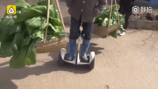Chuyên dùng Hoverboard để ship rau, nữ nông dân nổi như cồn trên mạng xã hội Trung Quốc - Ảnh 6.