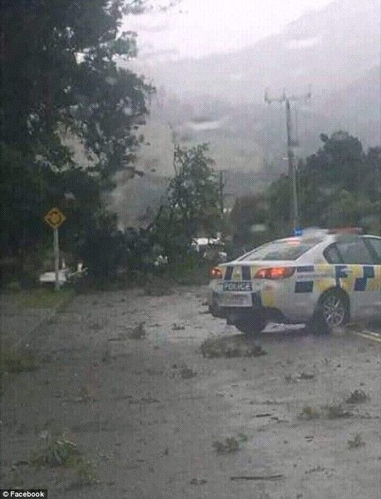New Zealand ch&igrave;m trong tuyết giữa m&ugrave;a h&egrave; - Ảnh 5.